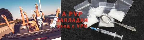 шишки Баксан