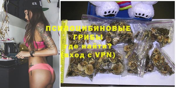 шишки Баксан