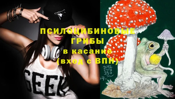 шишки Баксан