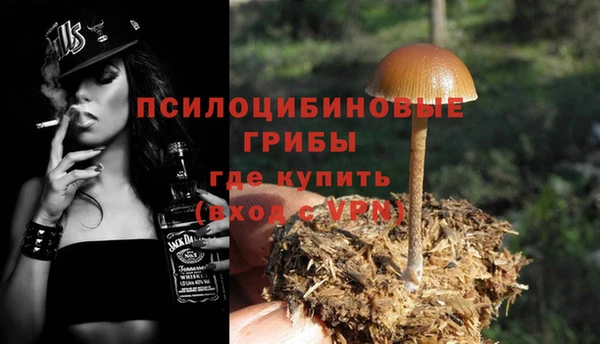 шишки Баксан